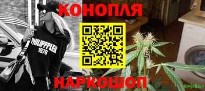 крисы Кандалакша