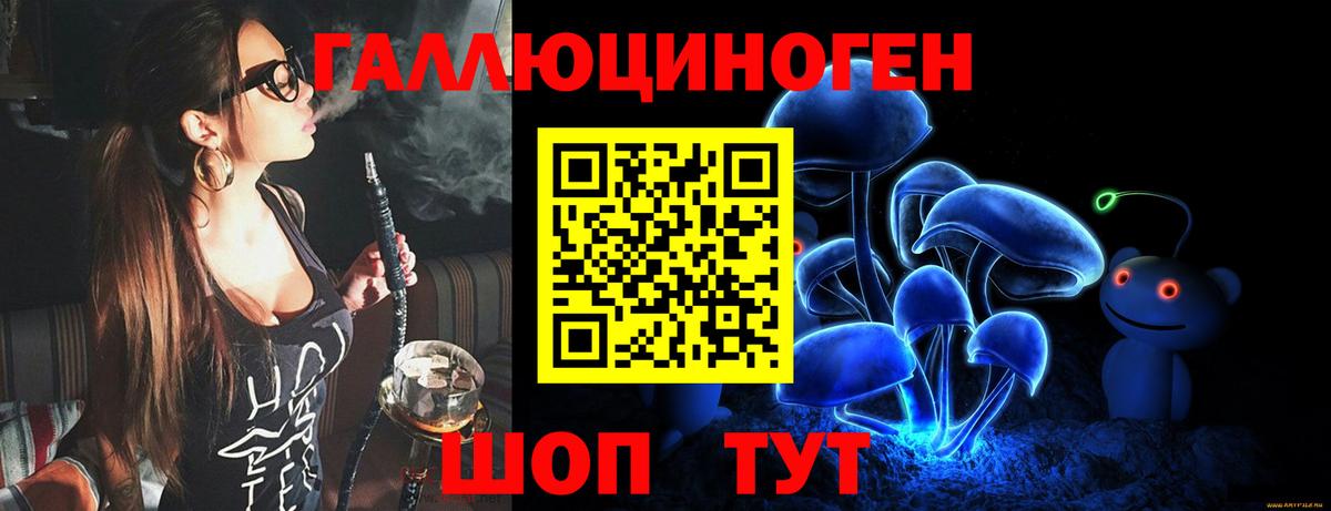 Электрогорск  Псилоцибиновые грибы Psilocybe  Вход с VPN  Галлюциногенные грибы прущие грибы 